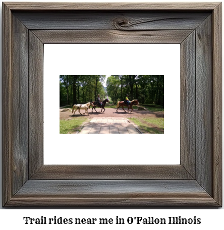 trail rides near me in O'Fallon, Illinois